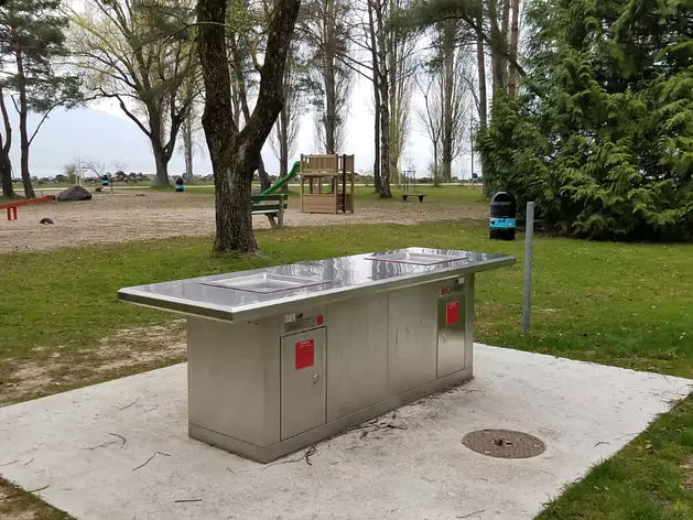 grills électriques Greenplate