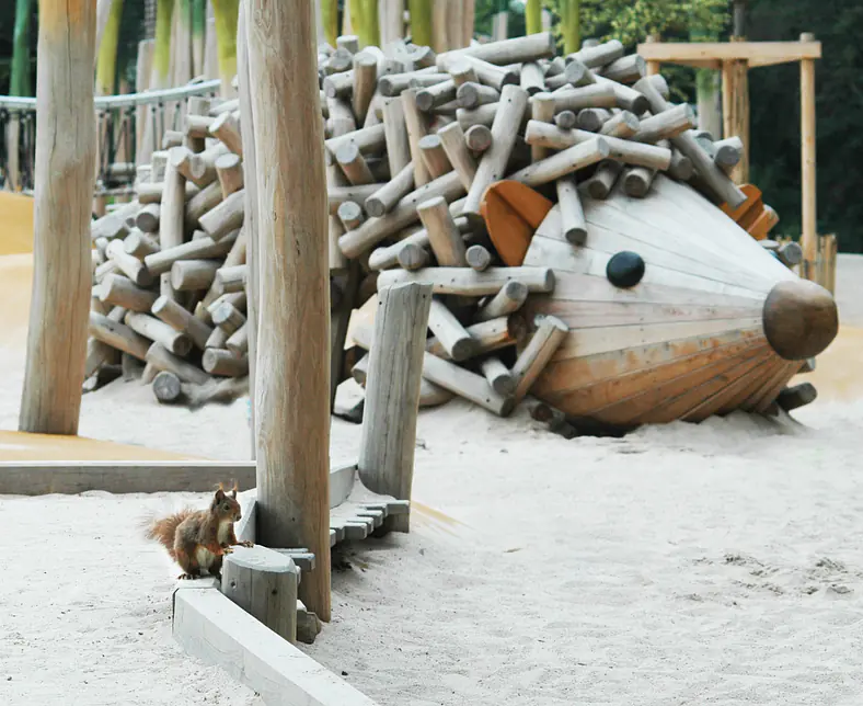 O8468 1 XL Igel mit Eichhörnchen.JPG