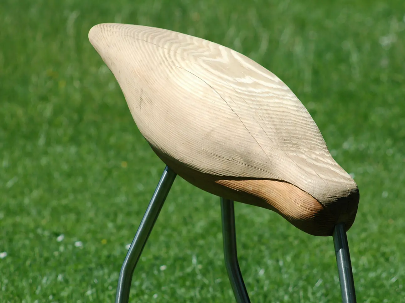 Die Vögel