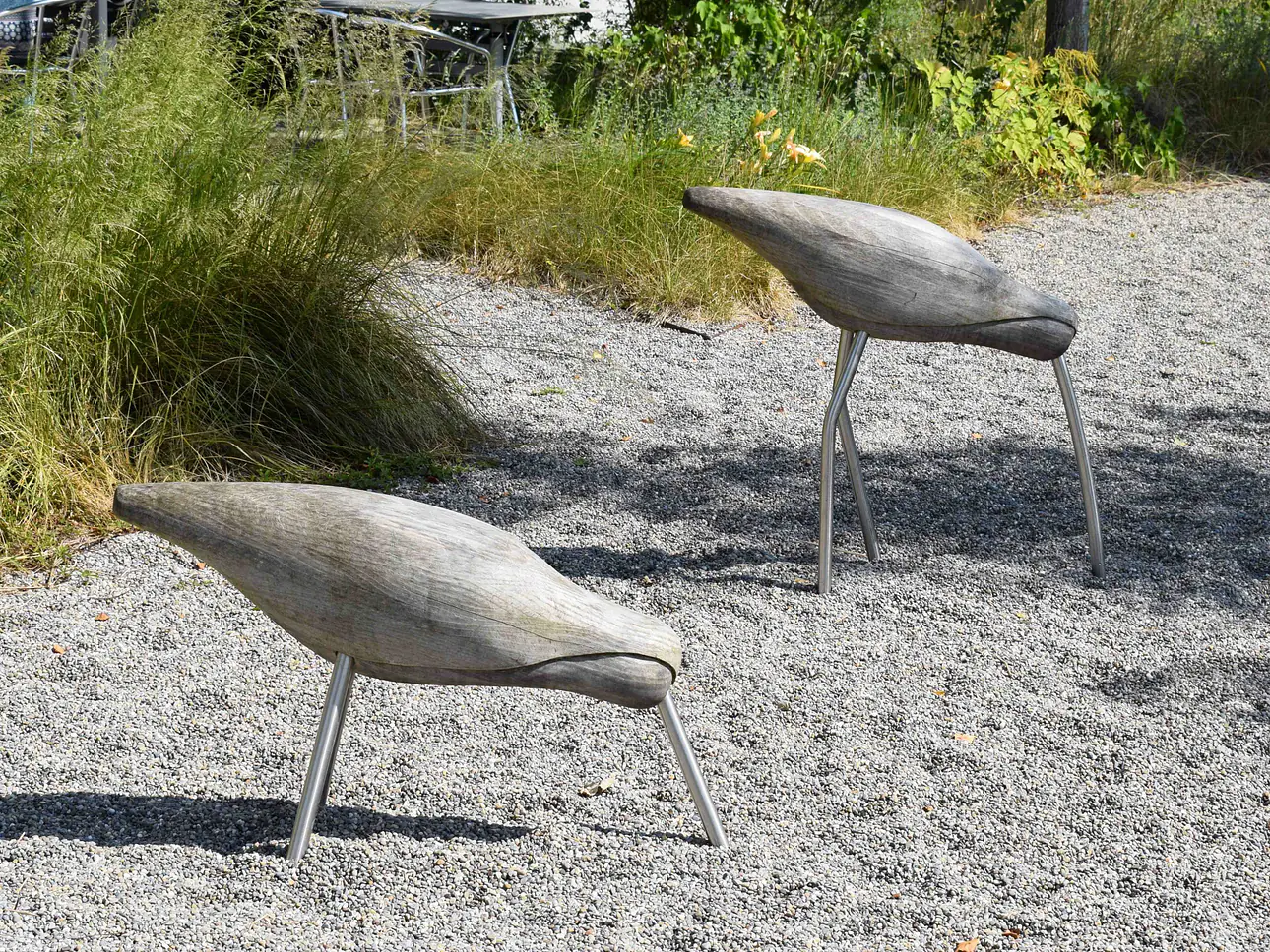 Die Vögel