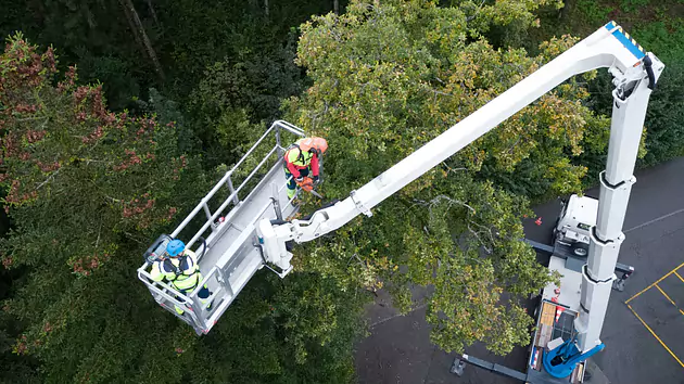 Opérateur / opératrice