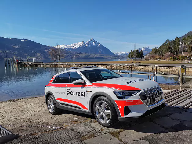 Audi Q8 55 e-tron quattro (BEV)       100% elektrisch